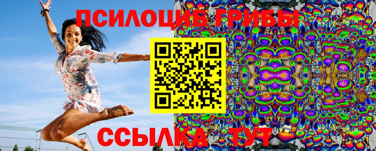 Галлюциногенные грибы мицелий  Вход с VPN  Галлюциногенные грибы Cubensis  Курчатов 